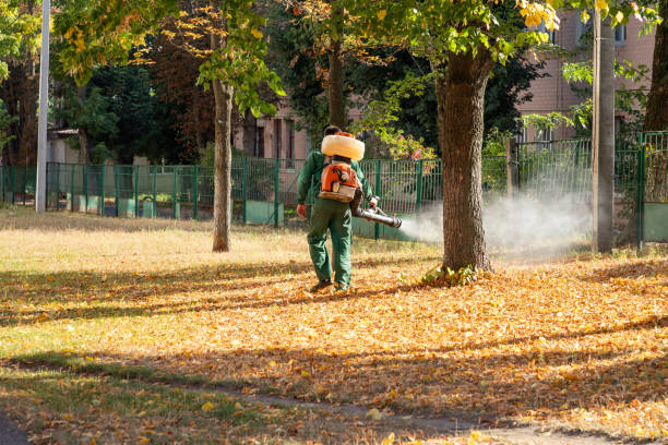 Best Mosquito Control Services  in Vinita, OK