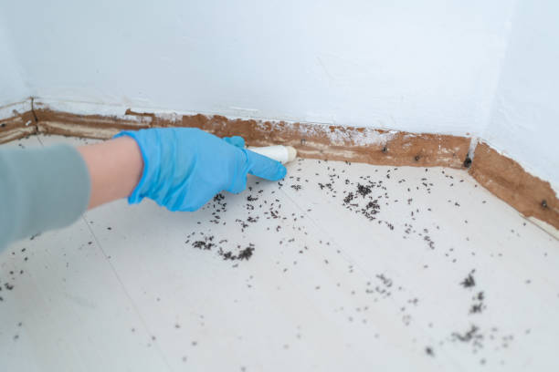 Best Exterminator Services  in Vinita, OK