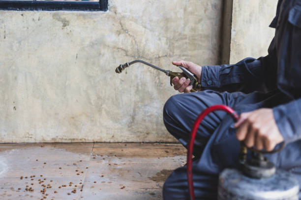 Professional Pest Control in Vinita, OK